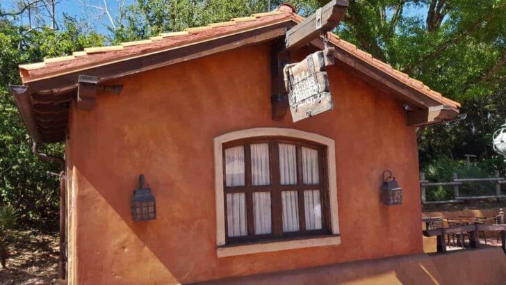 Pirate Activity in Magic Kingdom