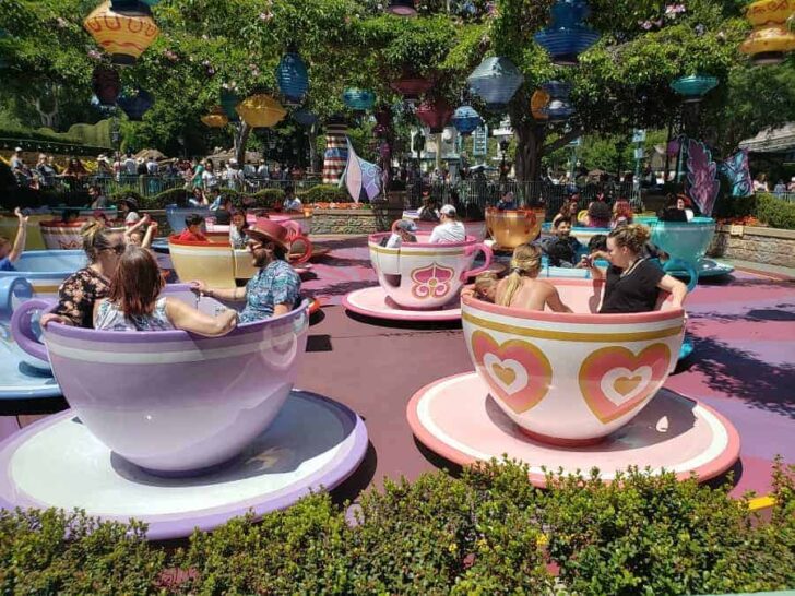 25 Best Rides at Disneyland & California Adventure