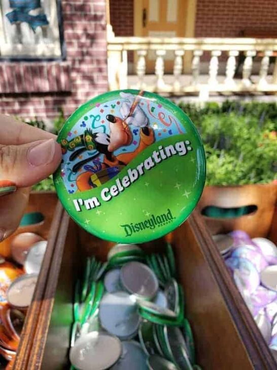 10 Best Disneyland Souvenirs Disney Insider Tips