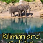 Kilimanjaro Safari Animal Kingdom