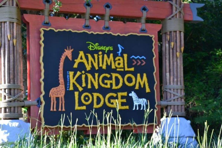 Guide To Disney Animal Kingdom Lodge Resort