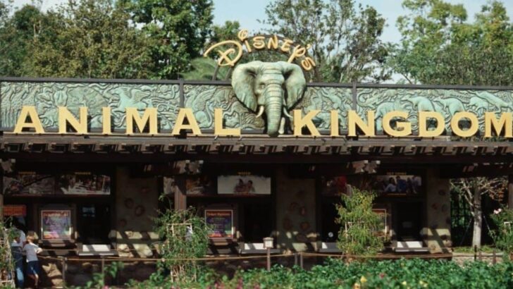 Animal Kingdom Entrance