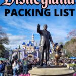 Best Disneyland Packing list