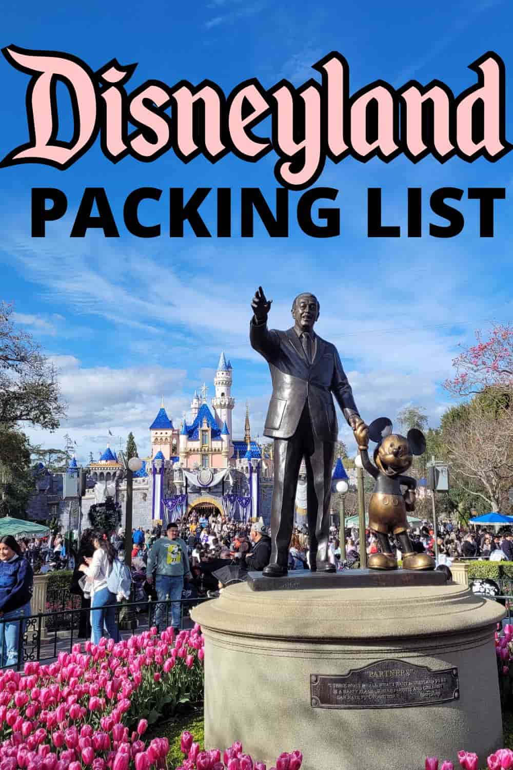 Best Disneyland Packing list