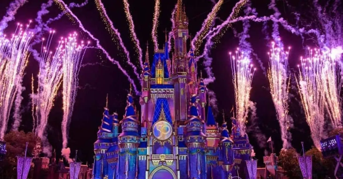 Disney Castle Fireworks