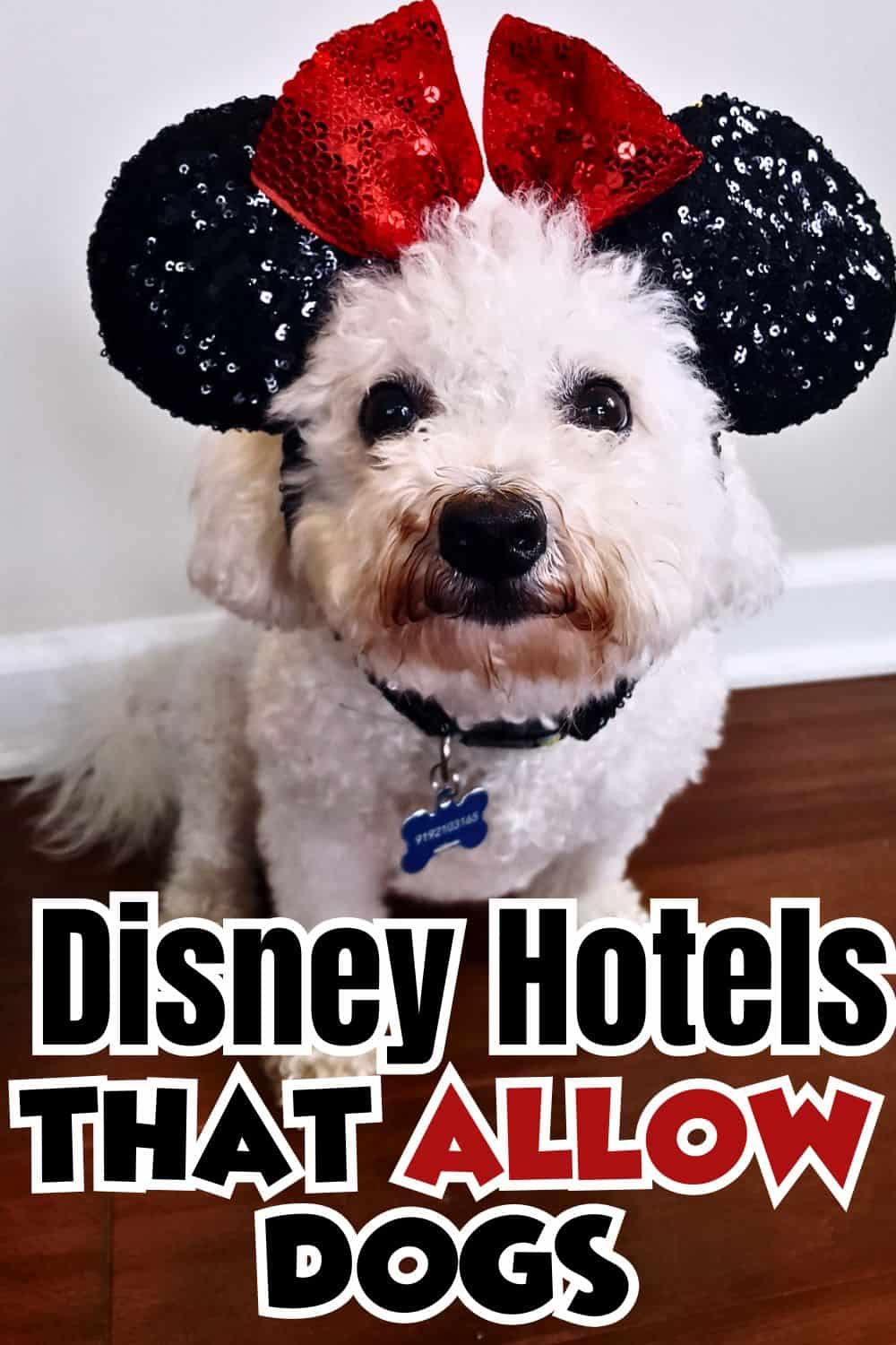 Disney Hotels that allow dogs