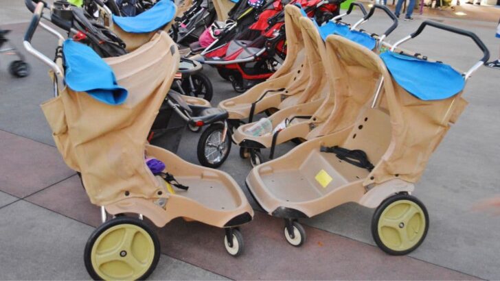 Disney World Strollers