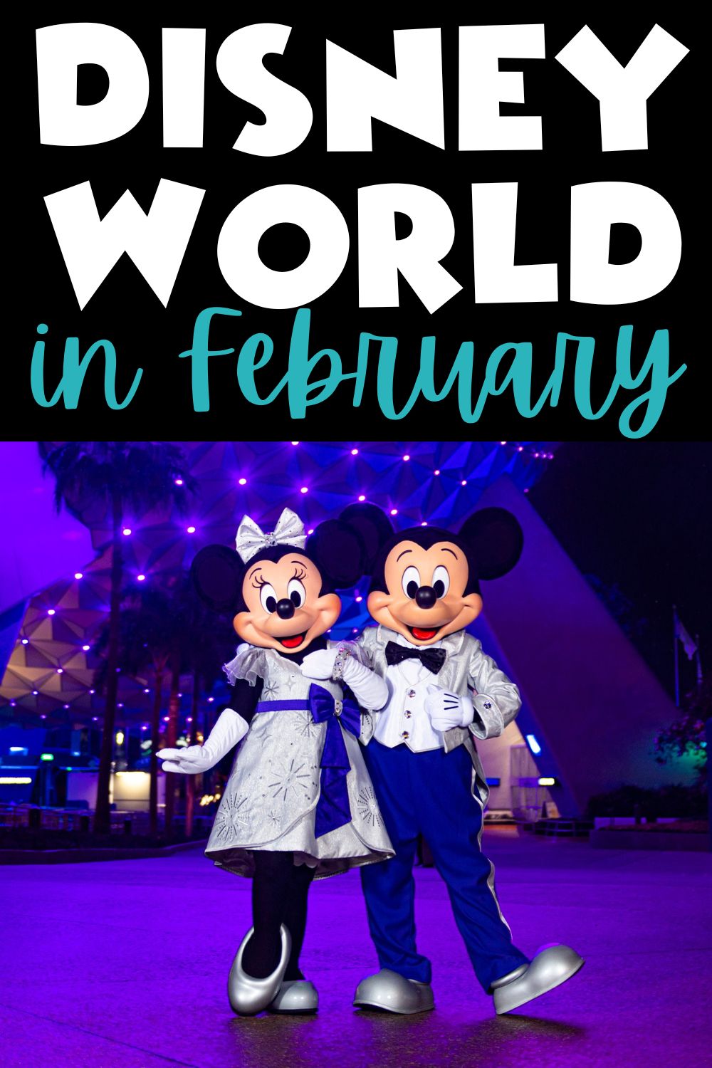 Guide to Going to Disney World in February