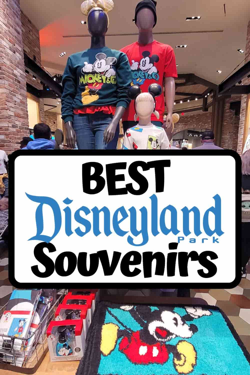 Best Disneyland Souvenirs