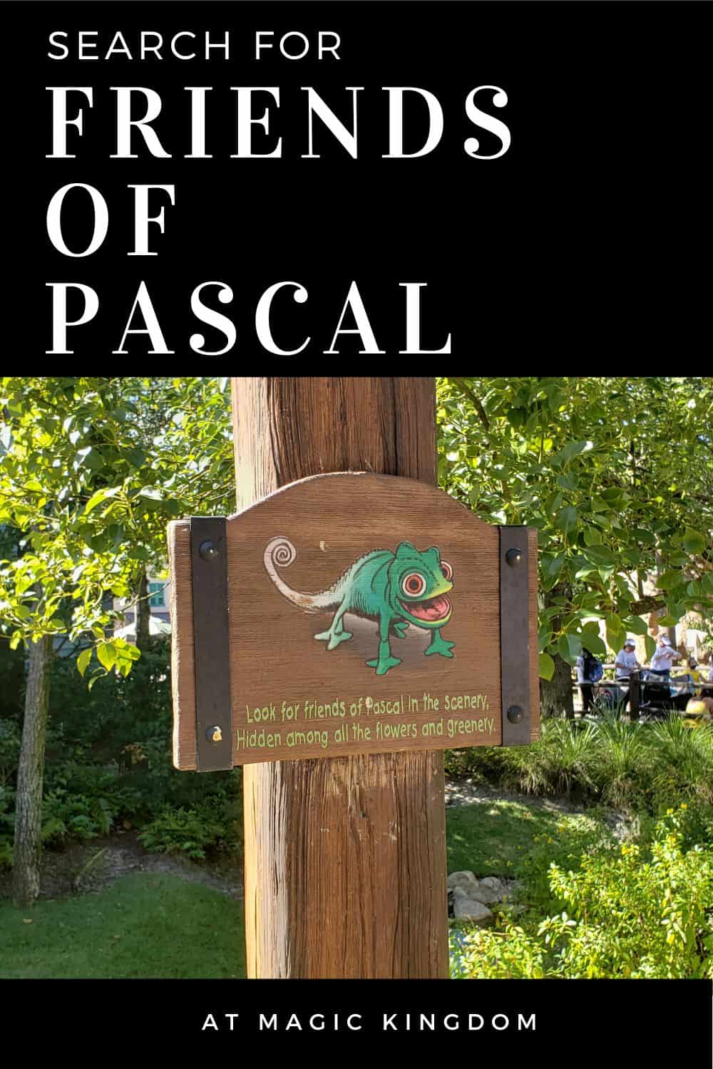 Friends of Pascal
