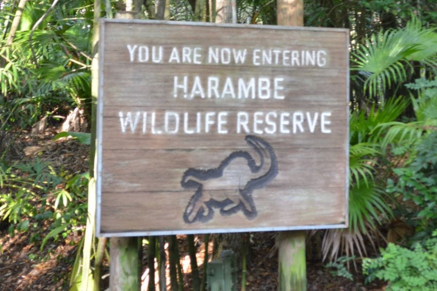 kilimanjaro safari ride animal kingdom
