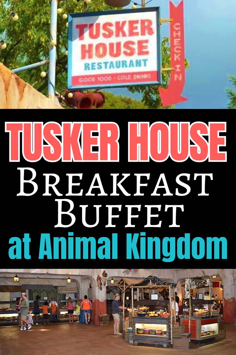 Tusker House Breakfast Buffet at Animal Kingdom